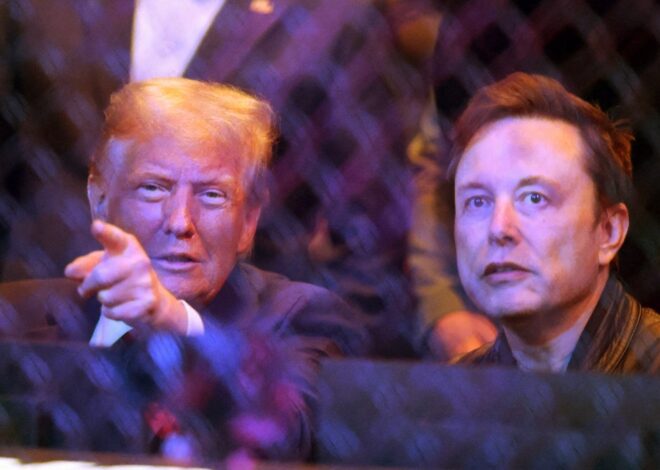 Seçim kutlaması: Donald Trump ve Elon Musk, UFC Şampiyonası’na gitti